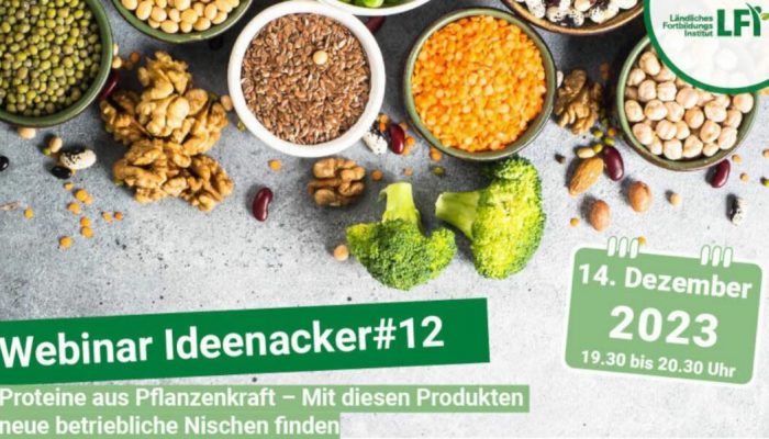 Ideenacker-2